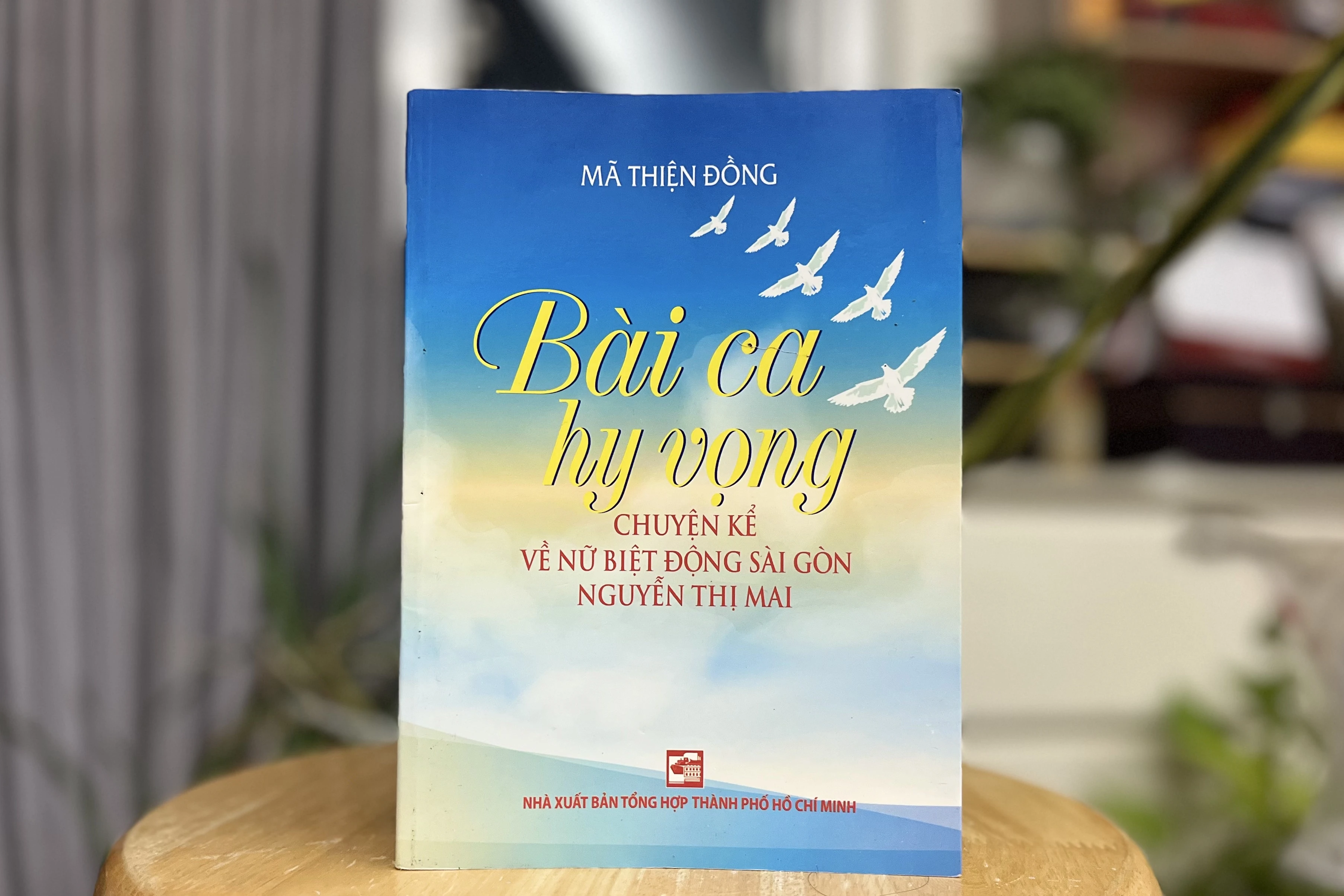 biệt động ảnh 2