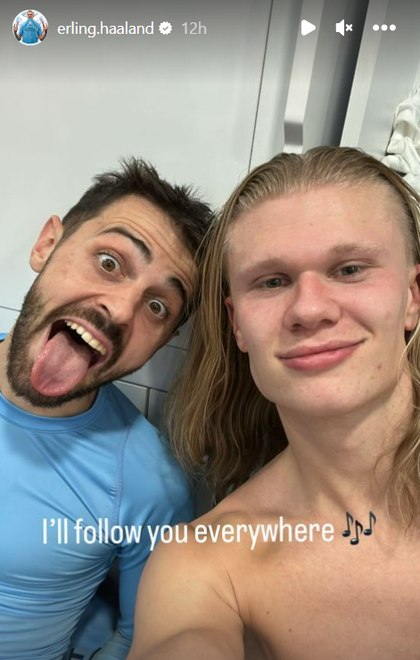 Erling Haaland anh 1