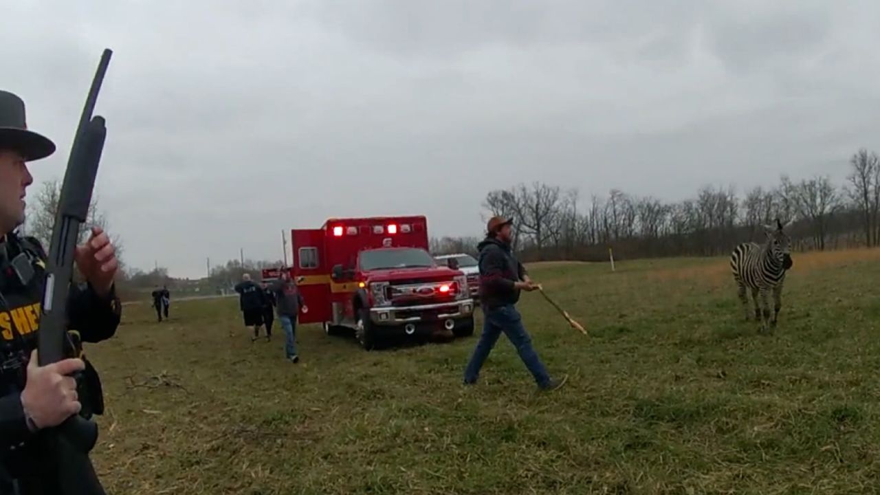 Ngua van mat kiem soat anh 1