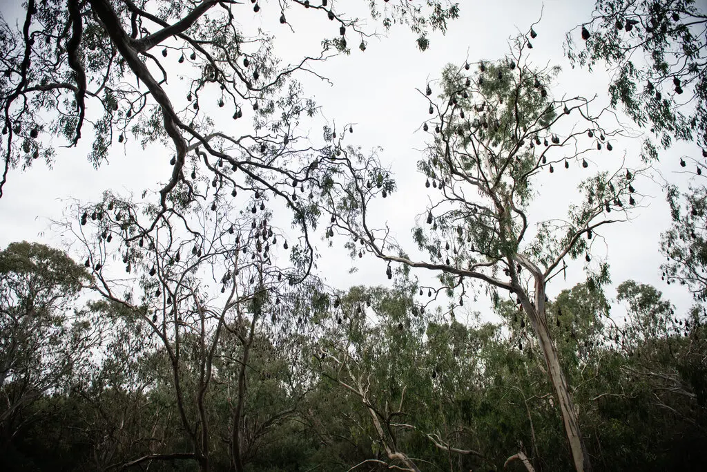 Phun nuoc cuu doi anh 1