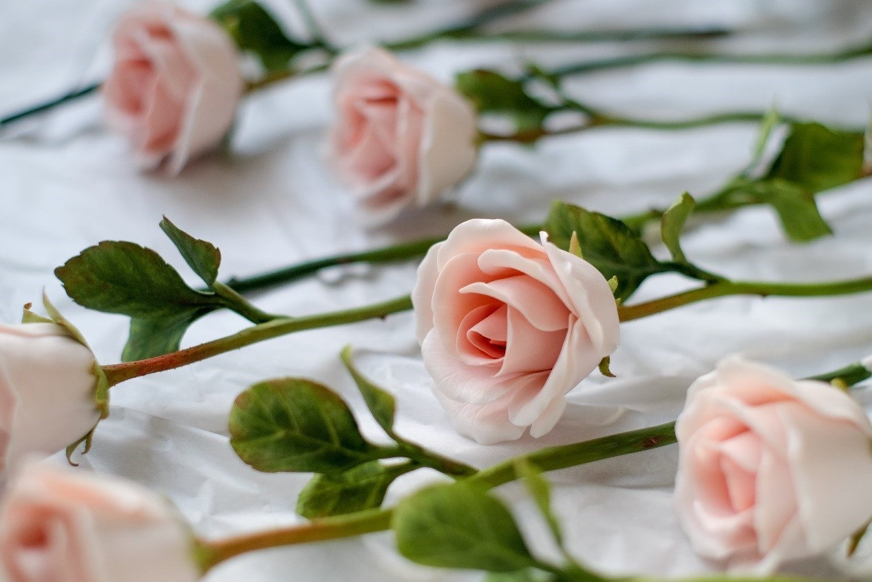 Gom su Minh Long anh 5