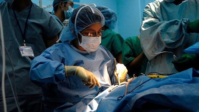 Topica Ivy tai day anh 1