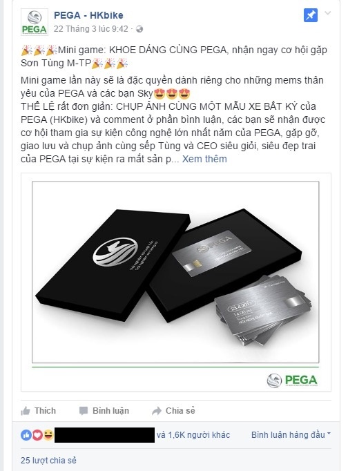 PEGA ảnh 2 PEGA anh 2
