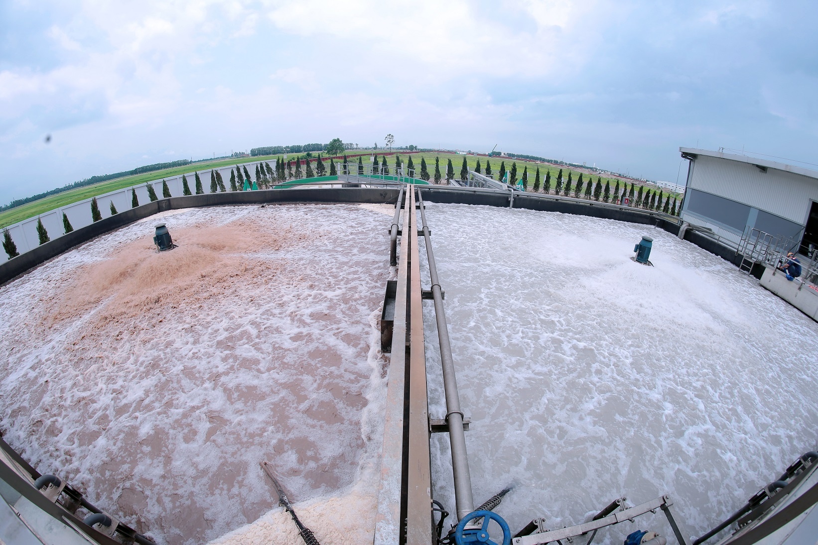 Nestle Viet Nam anh 9