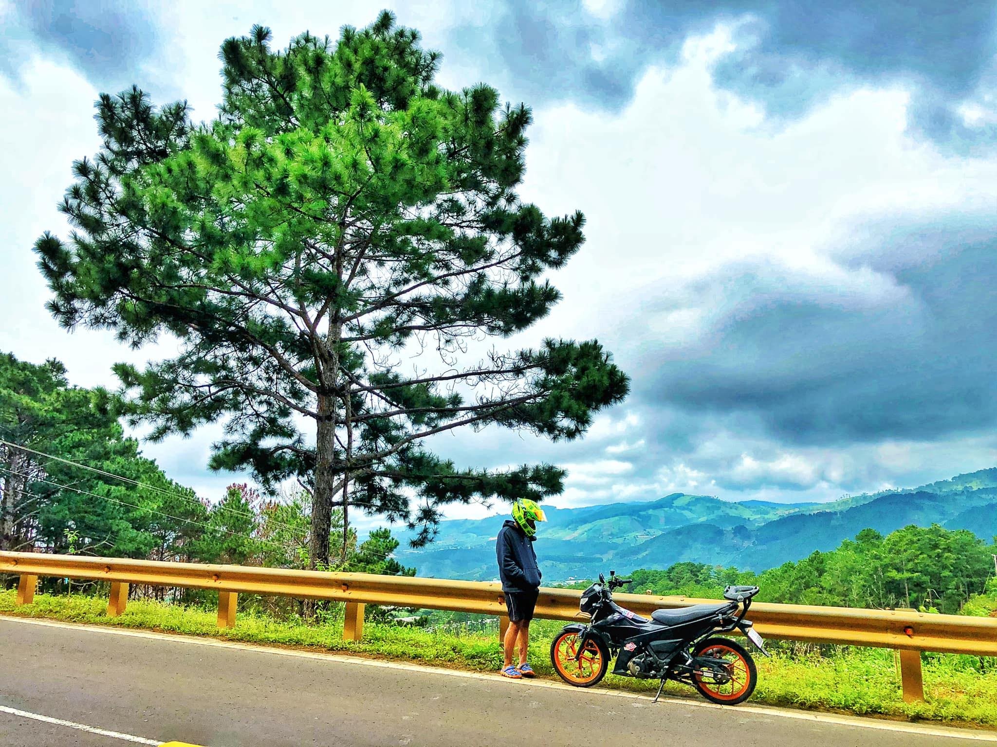 Suzuki  ảnh 2 Suzuki anh 2