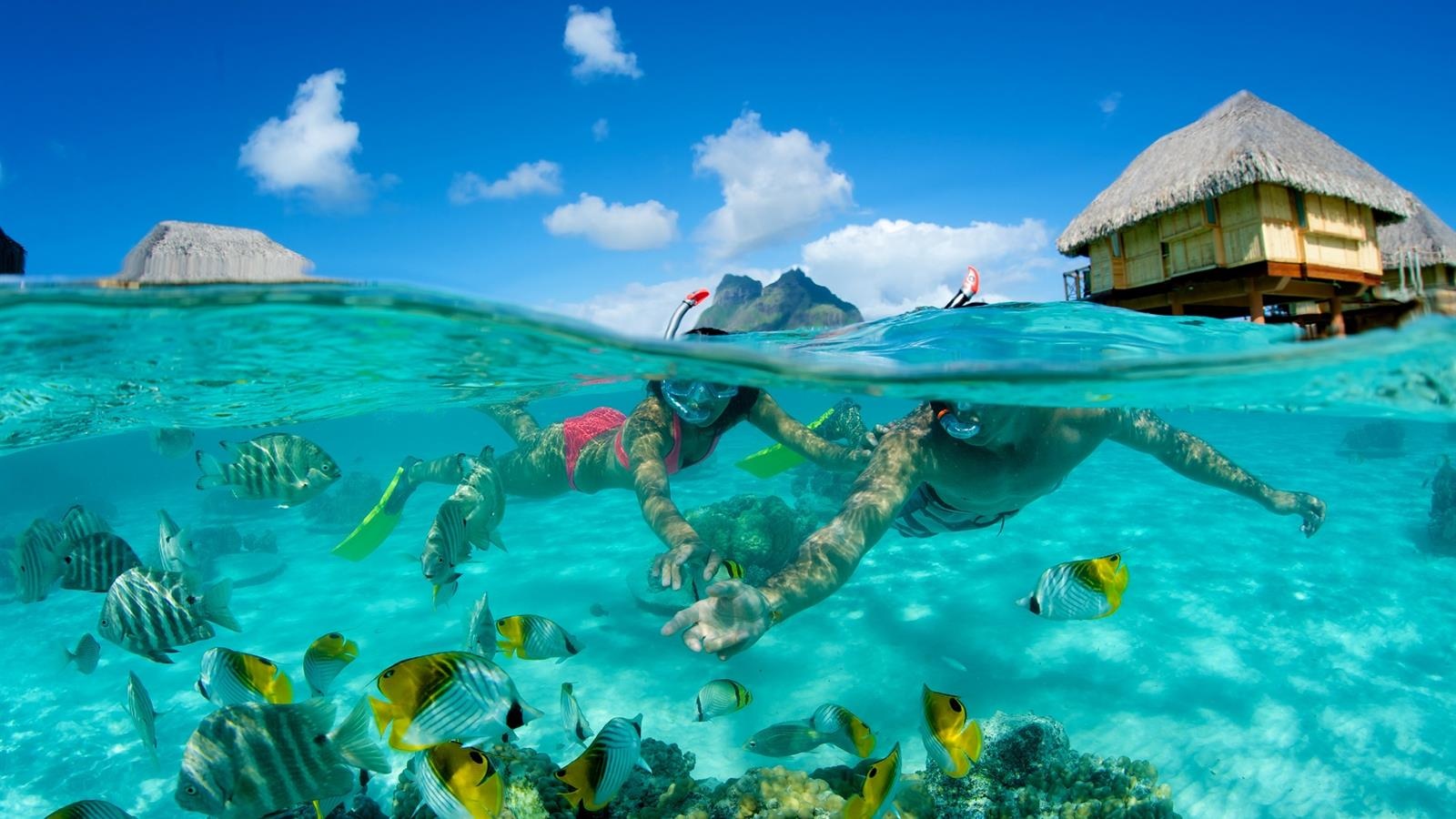 dao tai Thai Binh Duong anh 7