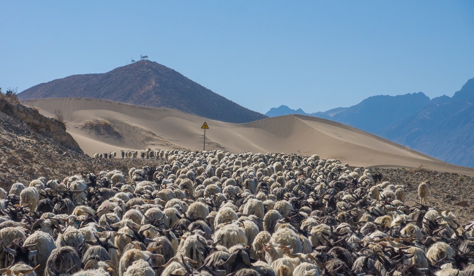 di khap the gian anh 6