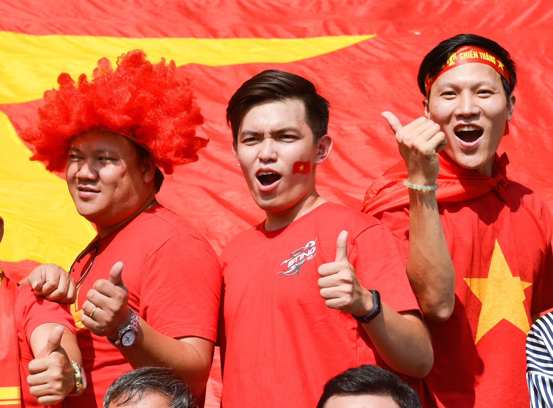 Sting ảnh 2 Sting anh 2