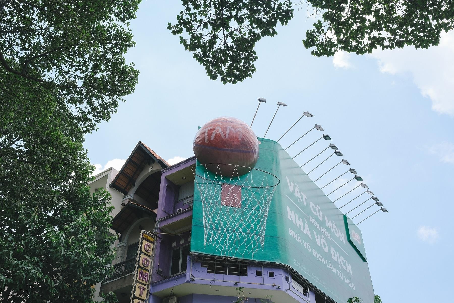 Milo ảnh 3 Milo anh 3