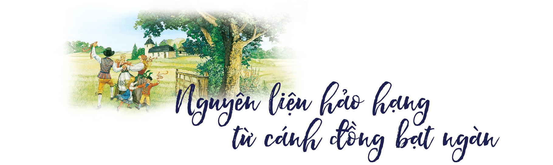 Danisa ảnh 3 Danisa anh 3