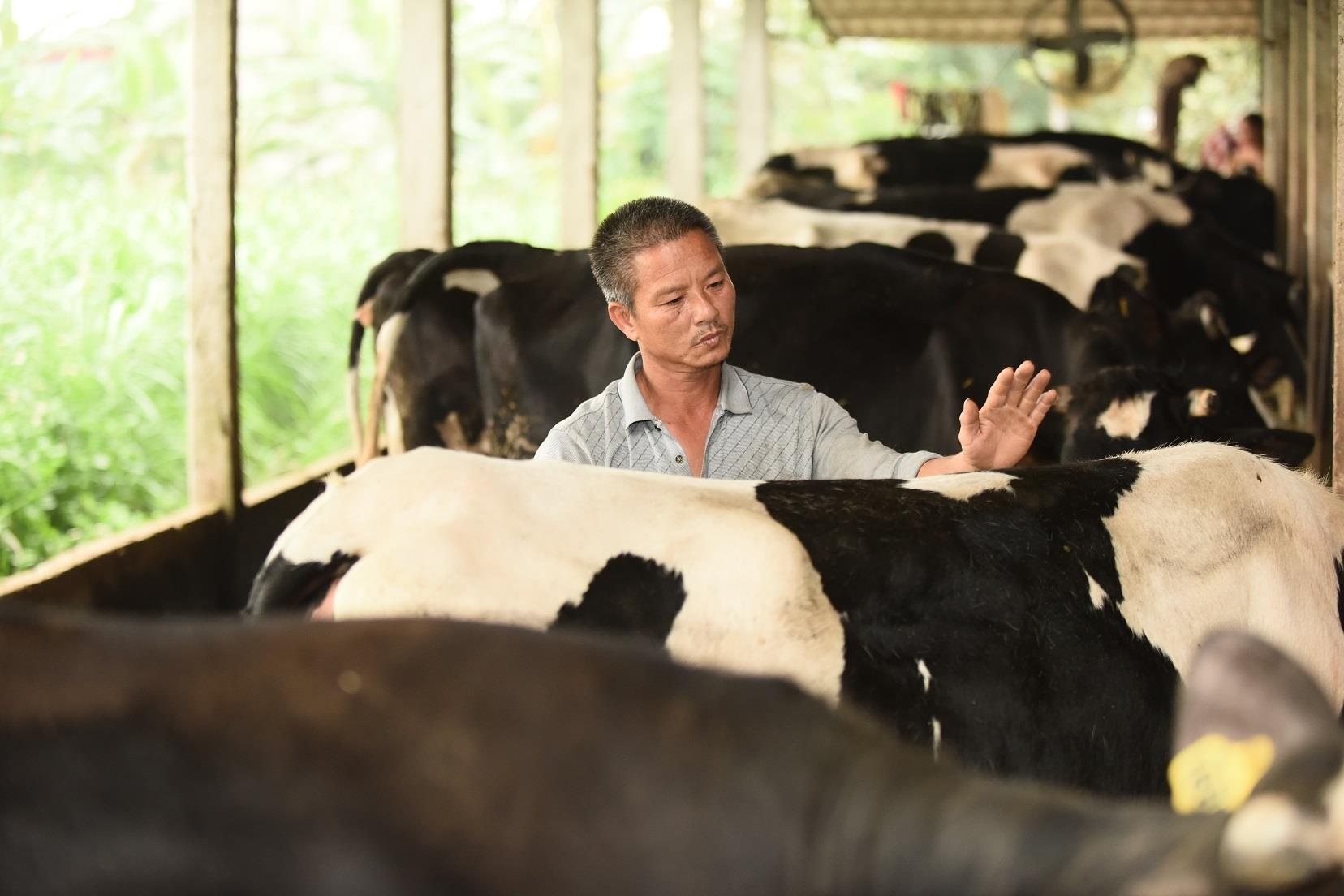 Co Gai Ha Lan anh 12