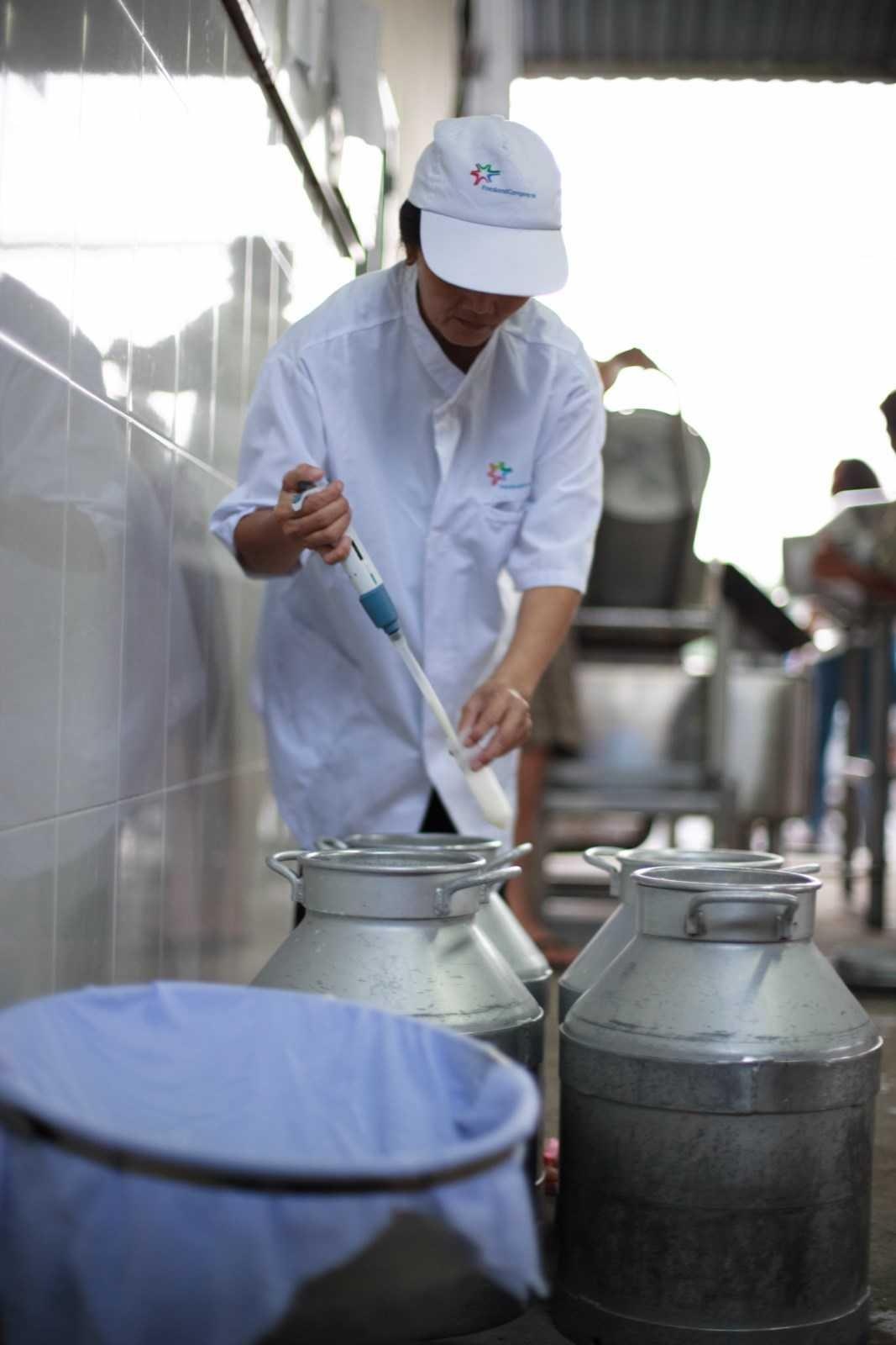 Co Gai Ha Lan anh 11