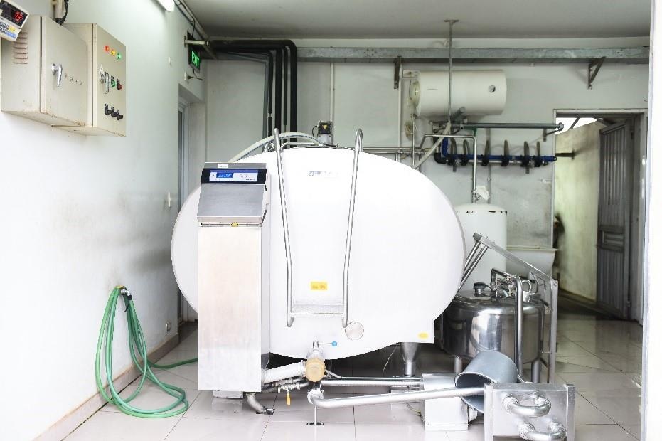 Co Gai Ha Lan anh 10