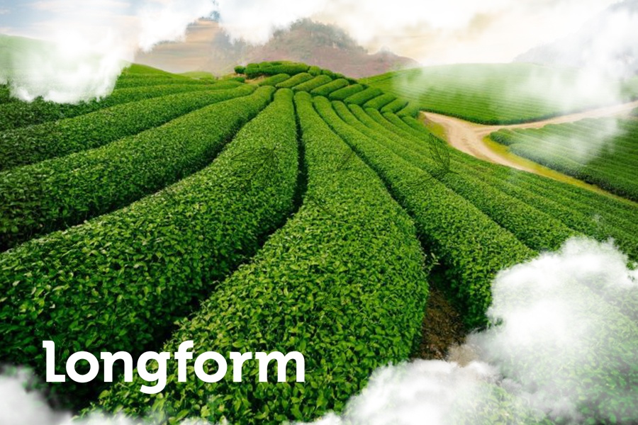 Hanh trinh tu 'de nhat danh tra' thanh diem den doc la cua Thai Nguyen hinh anh