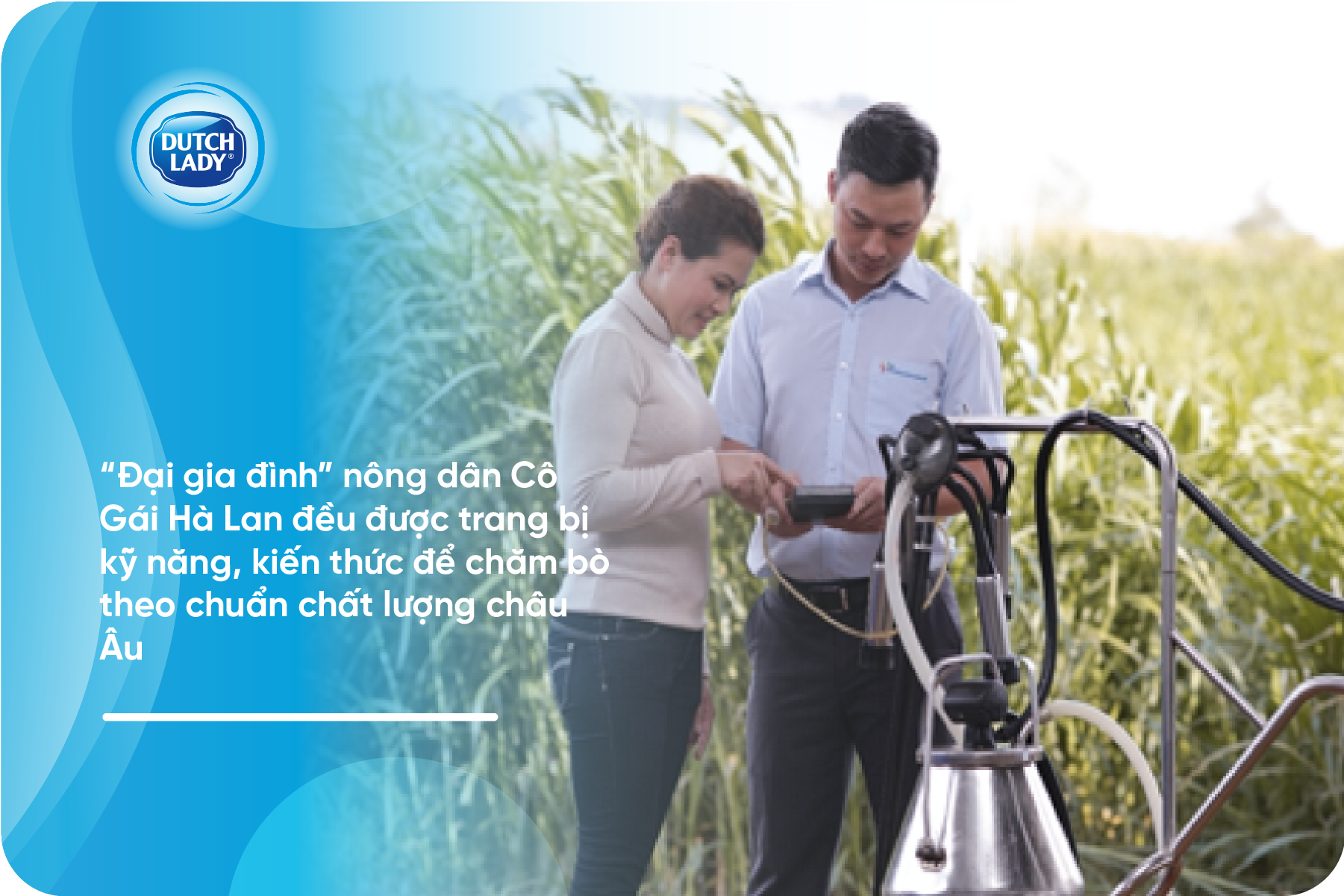 sua Co Gai Ha Lan anh 3