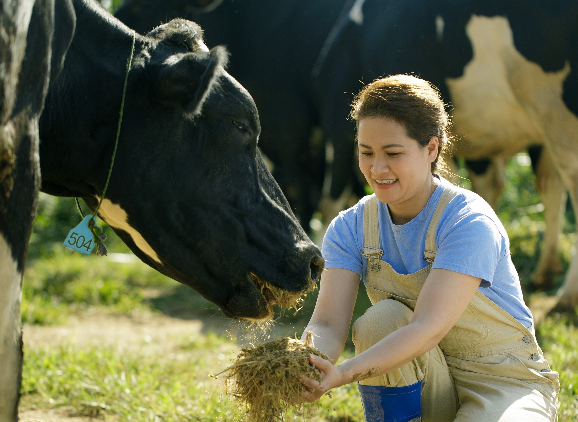 Bo, Beo, Ti, Dom - nhung co bo khoe manh cho sua chuan Ha Lan hinh anh
