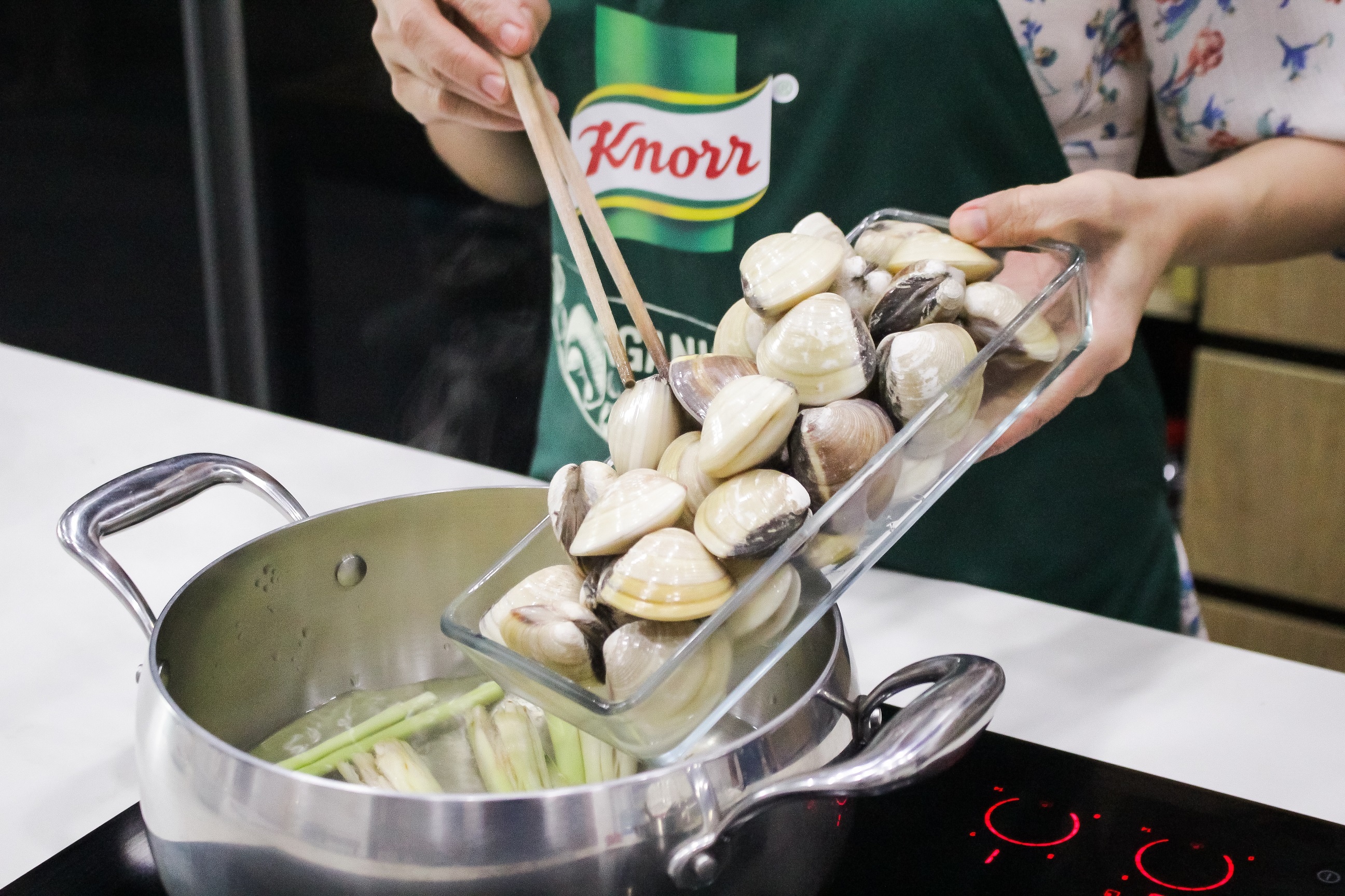 Knorr ảnh 4 Knorr anh 4