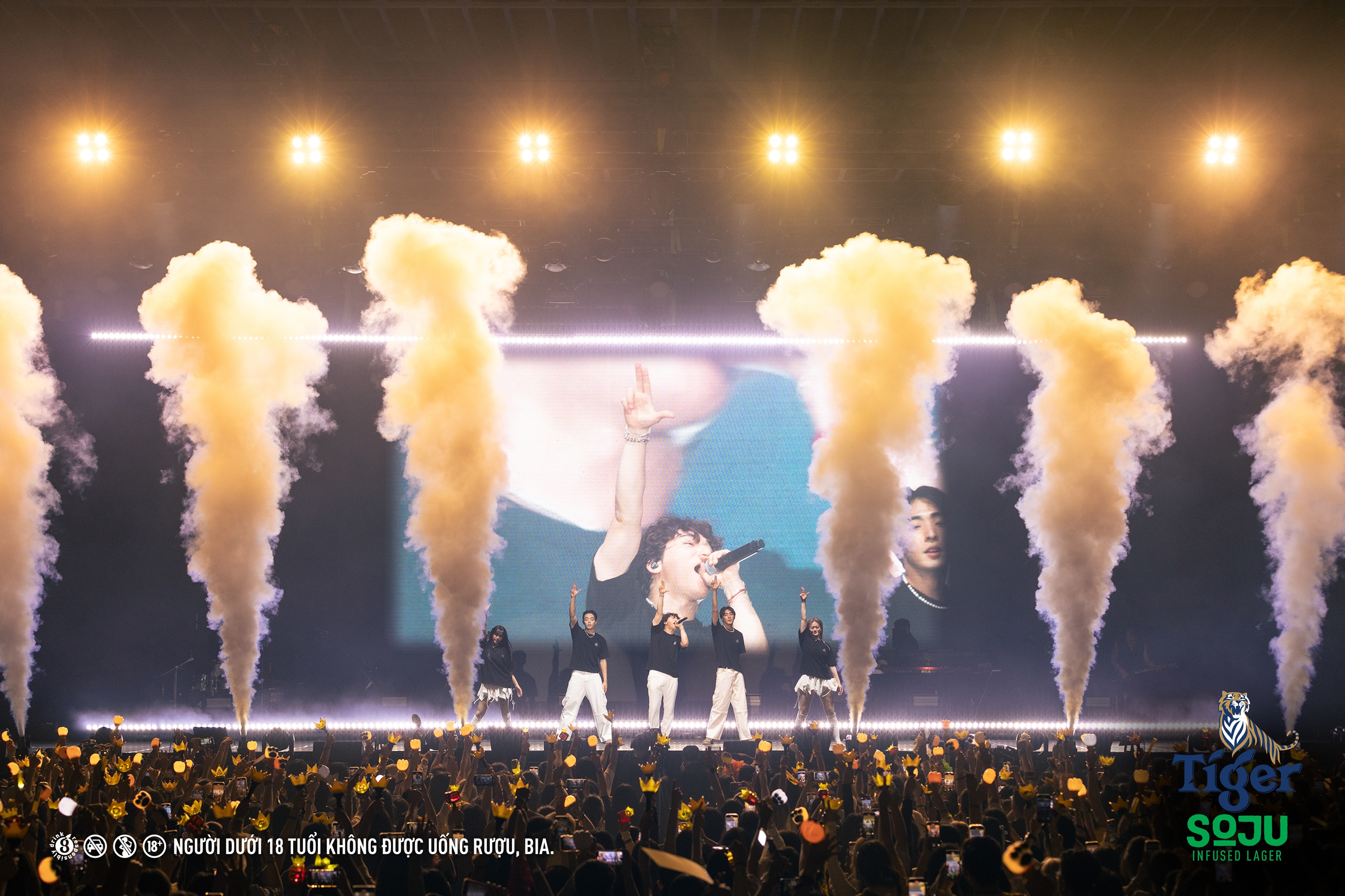 Tiger Soju anh 3