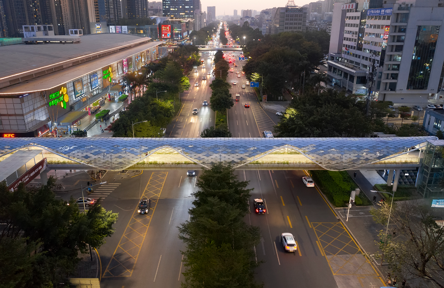 Cau vuot mang cam hung rong trong tranh co Trung Quoc hinh anh