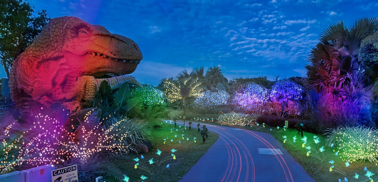 san bay changi anh 8