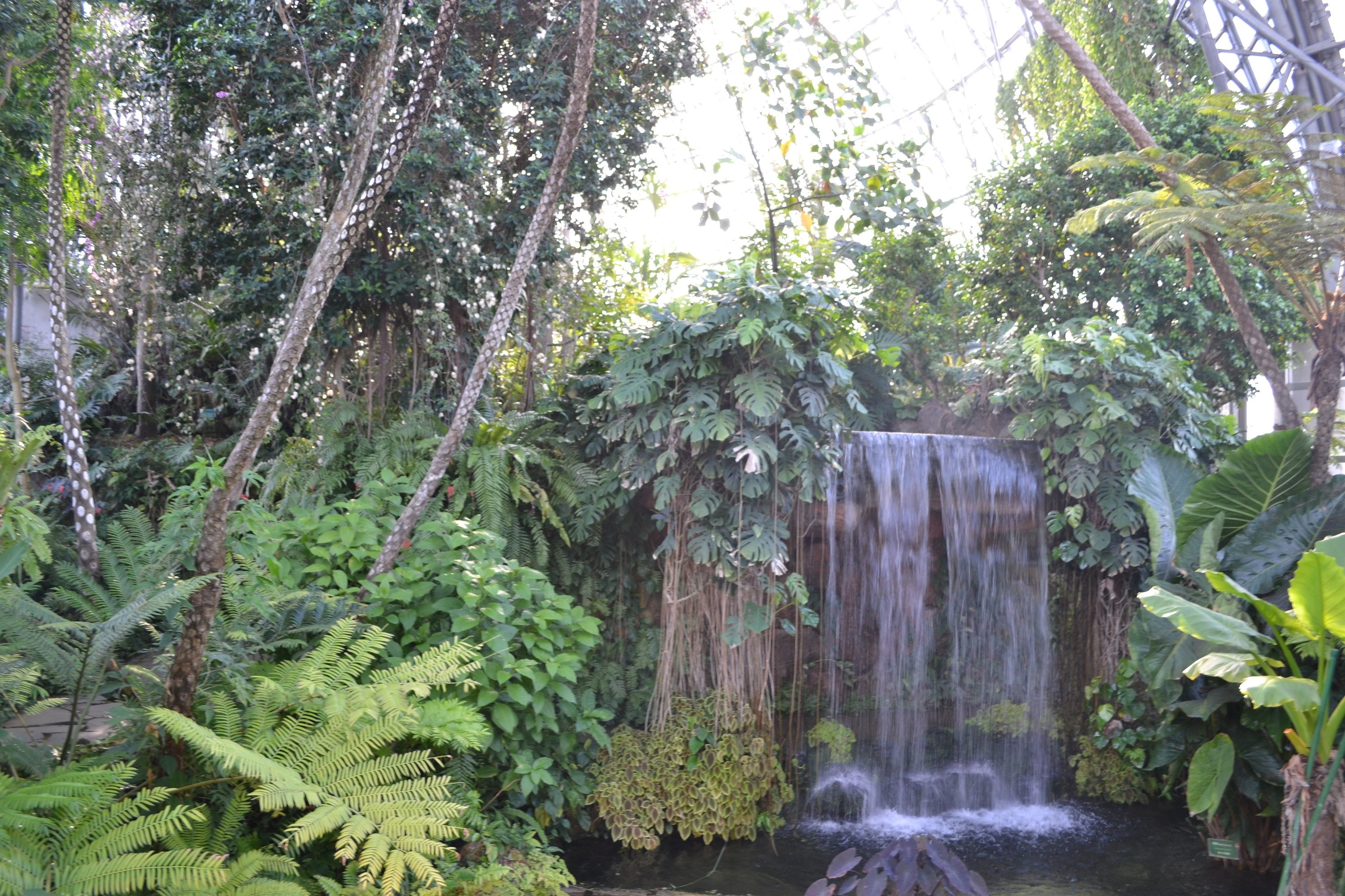 cong vien xanh anh 6