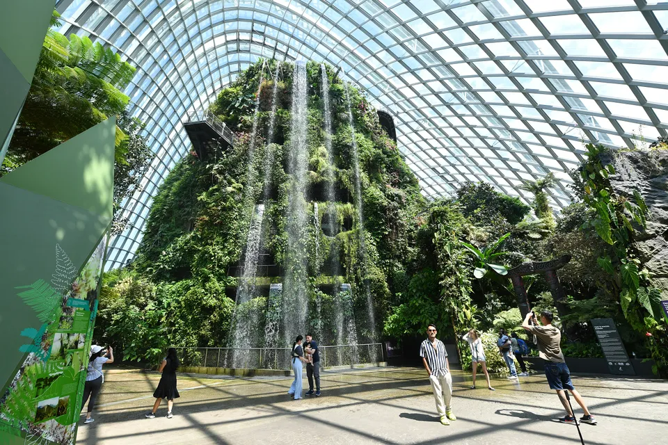 cong vien xanh anh 4