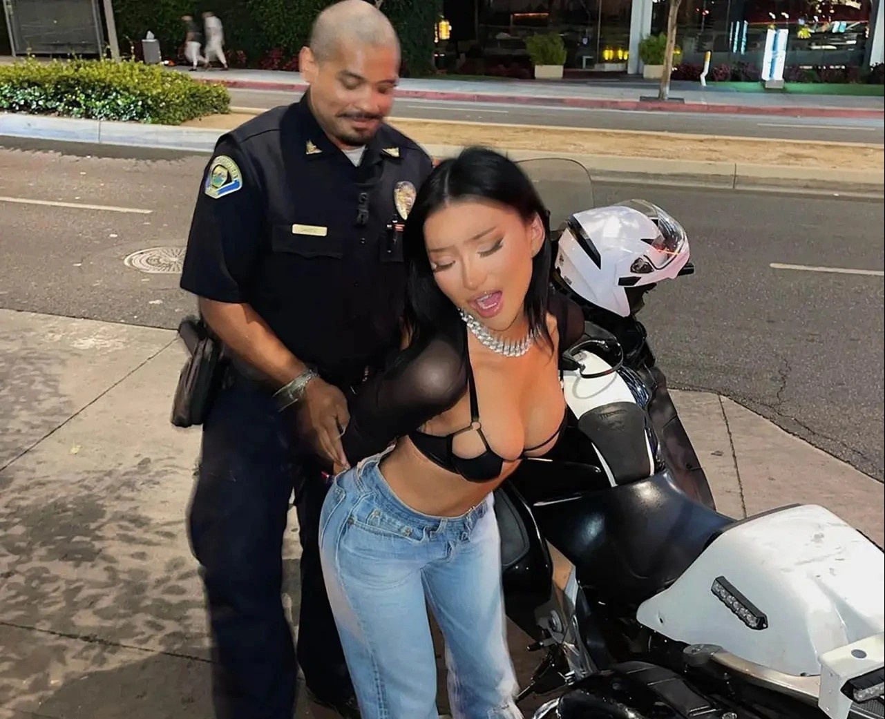 Nguoi mau goc Viet bi bat hinh anh