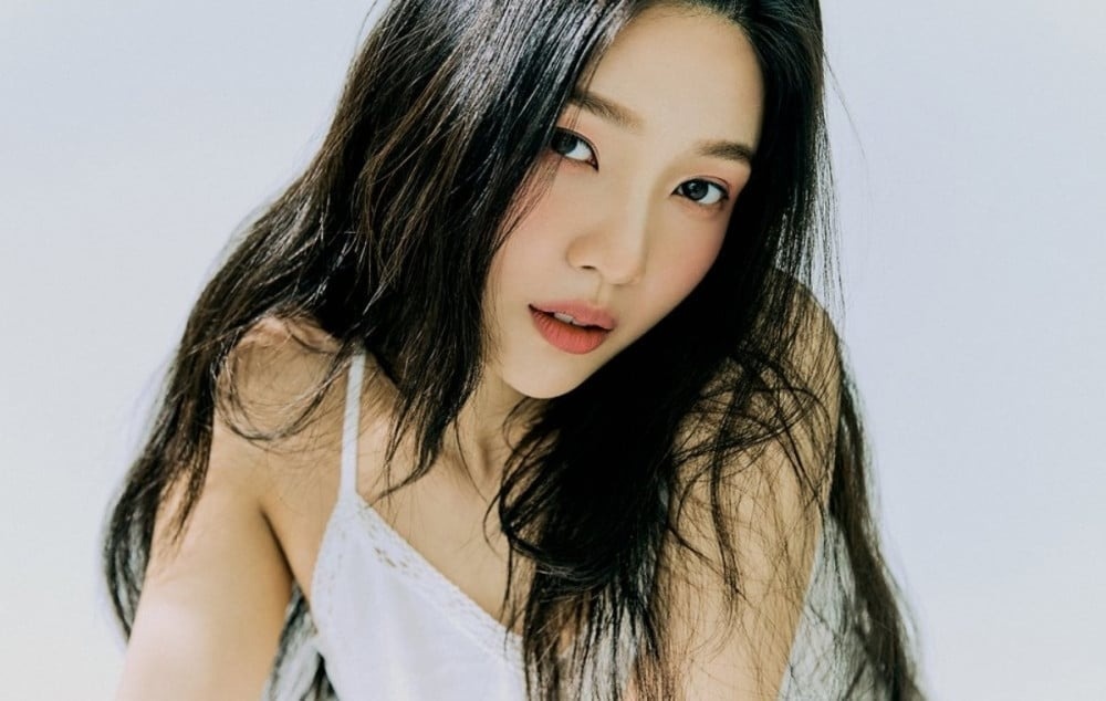 Joy (Red Velvet) phai tam ngung hoat dong hinh anh