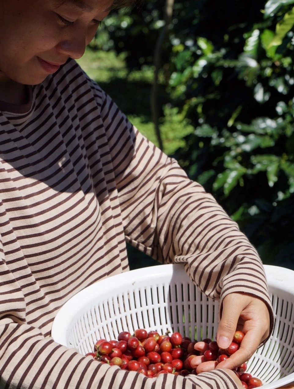 du lịch Đà Lạt ảnh 12 du lich Da Lat anh 12