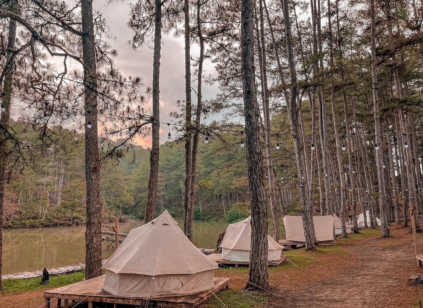 du lịch Đà Lạt ảnh 1 du lich Da Lat anh 1