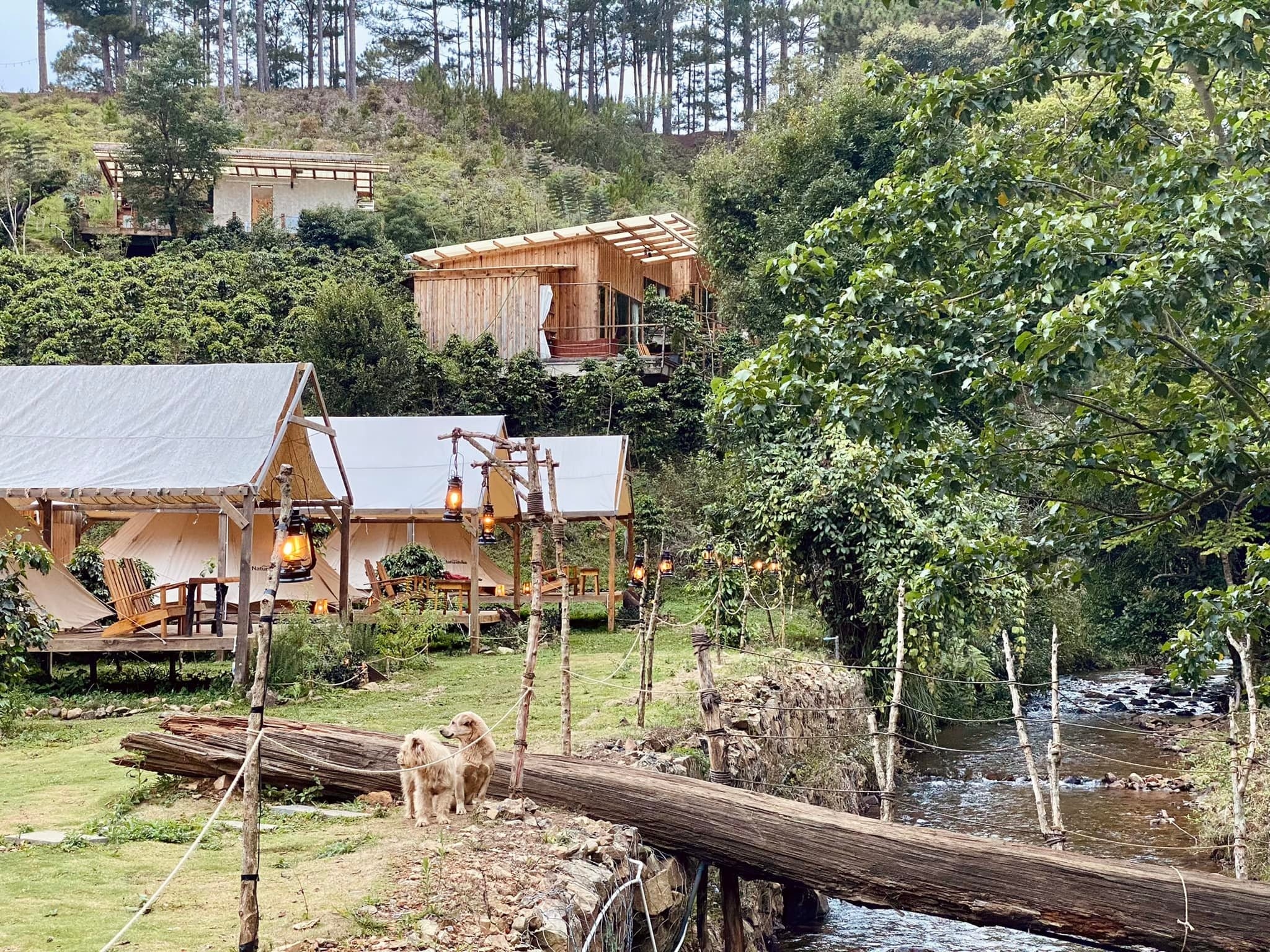 du lịch Đà Lạt ảnh 9 du lich Da Lat anh 9