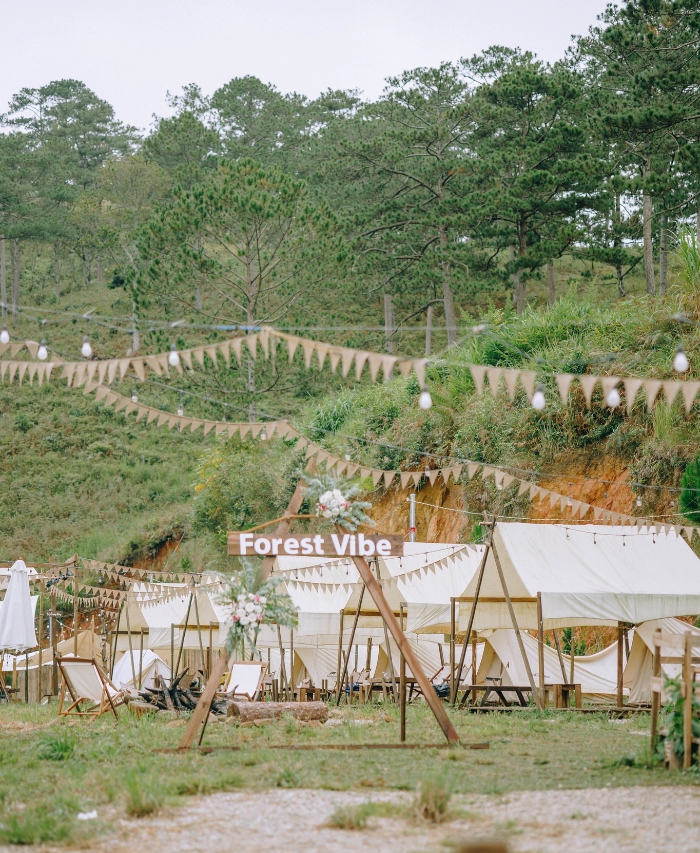 du lịch Đà Lạt ảnh 5 du lich Da Lat anh 5