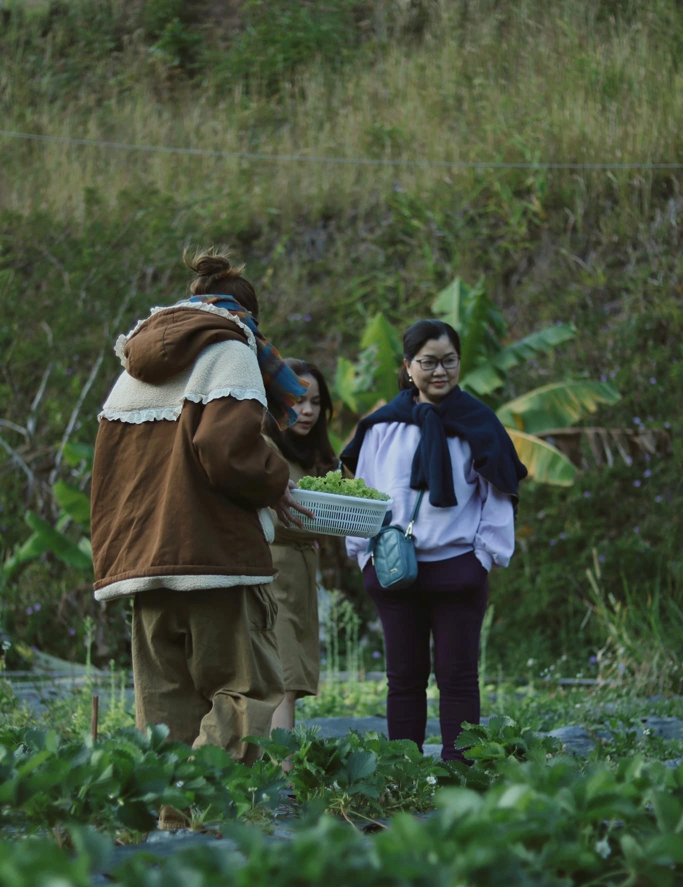 du lịch Đà Lạt ảnh 15 du lich Da Lat anh 15