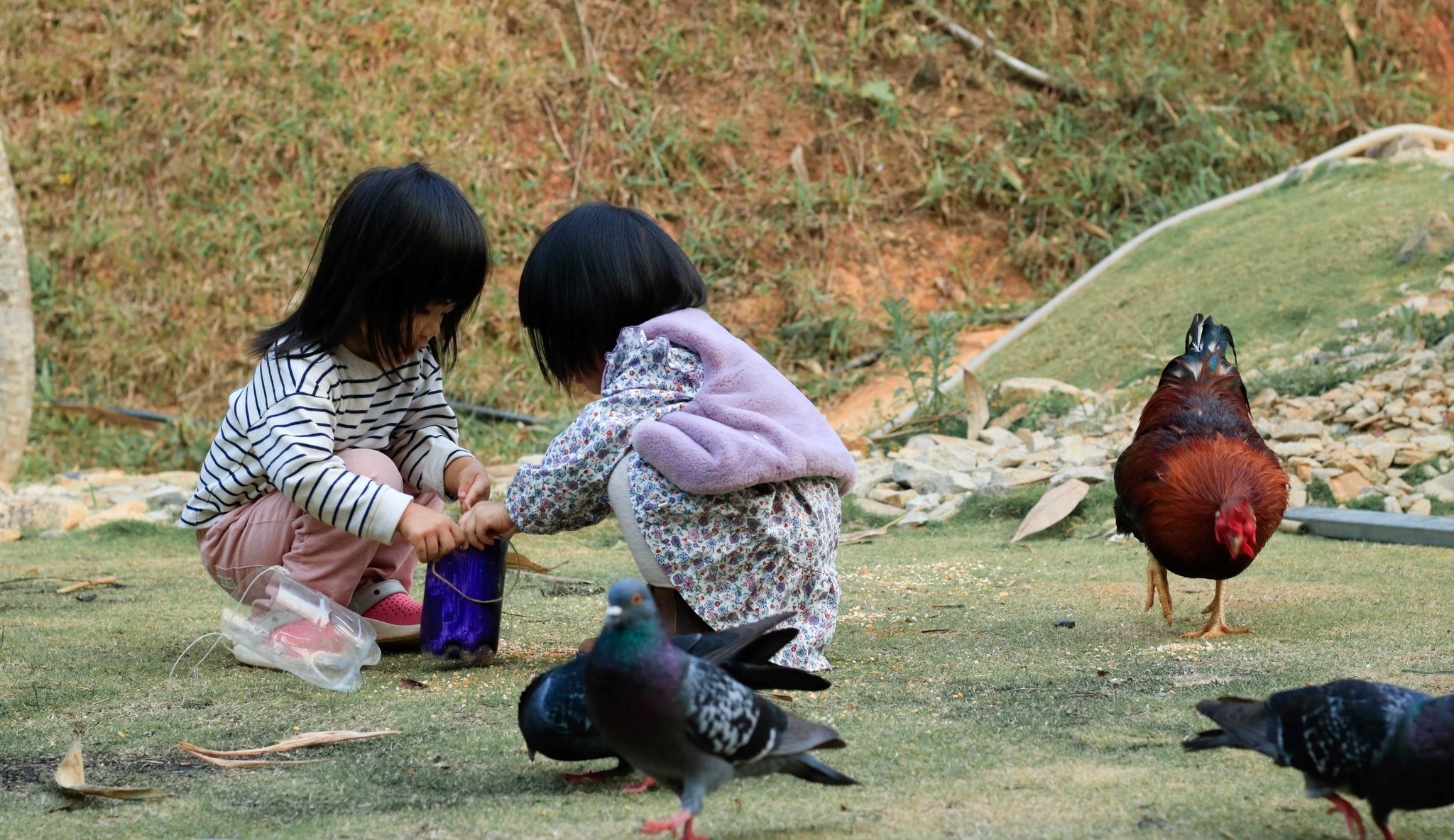 du lịch Đà Lạt ảnh 19 du lich Da Lat anh 19