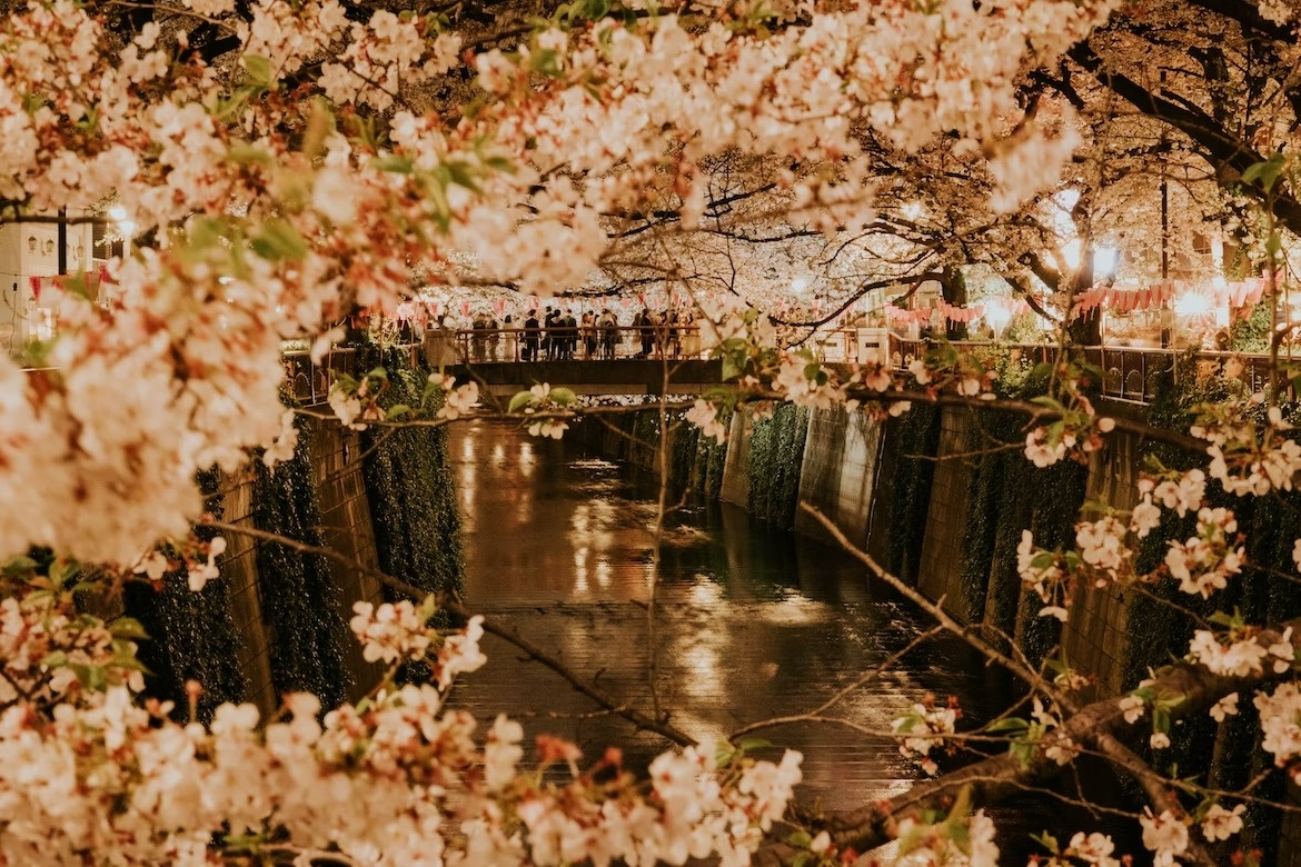 du lịch Nhật Bản ảnh 2 du lich Nhat Ban anh 2