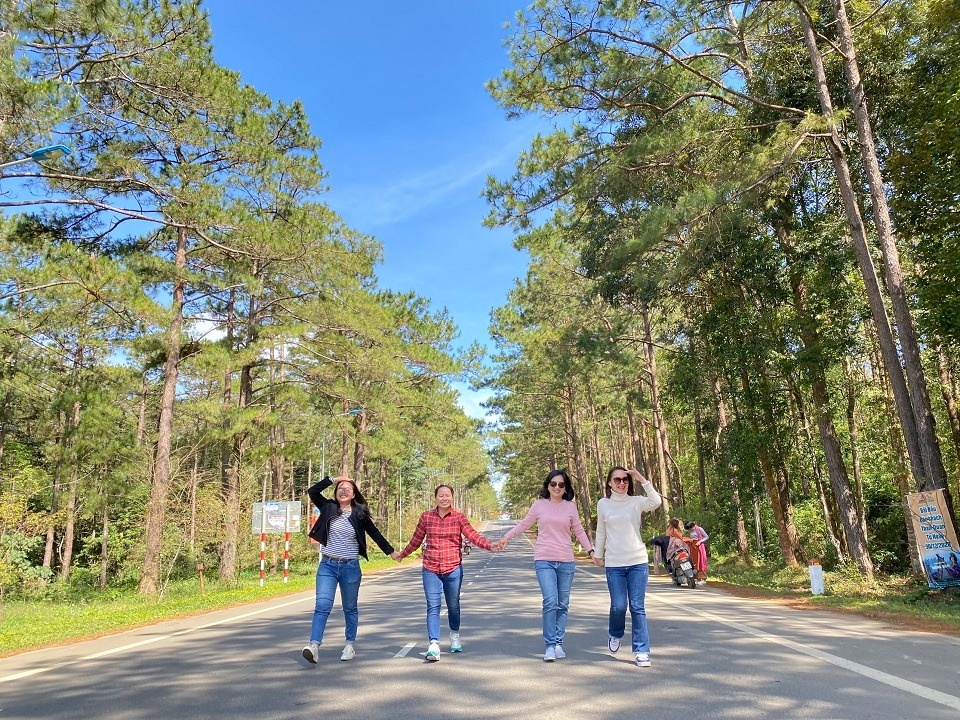 Du lich Viet Nam anh 3