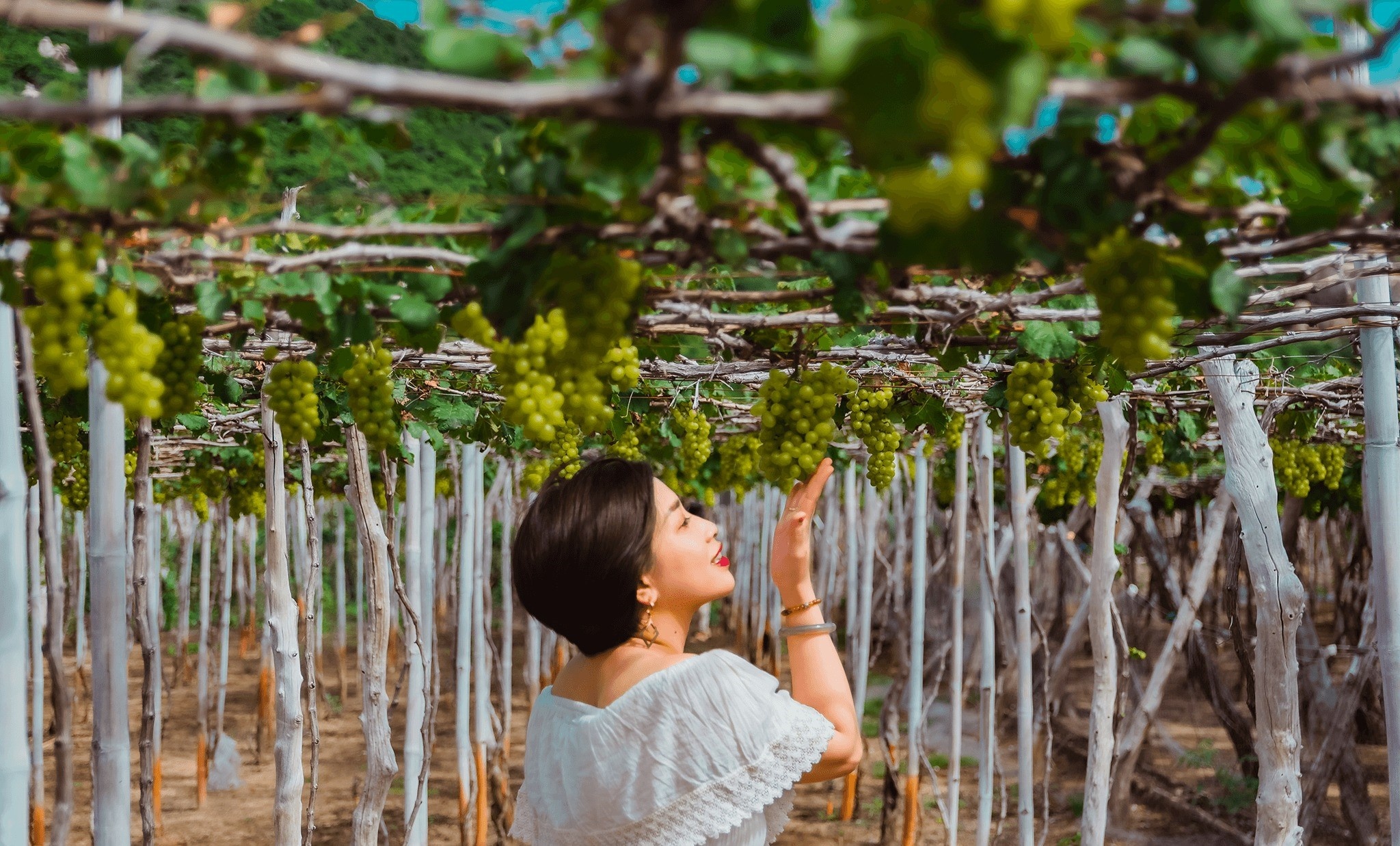 Du lich Viet Nam anh 6