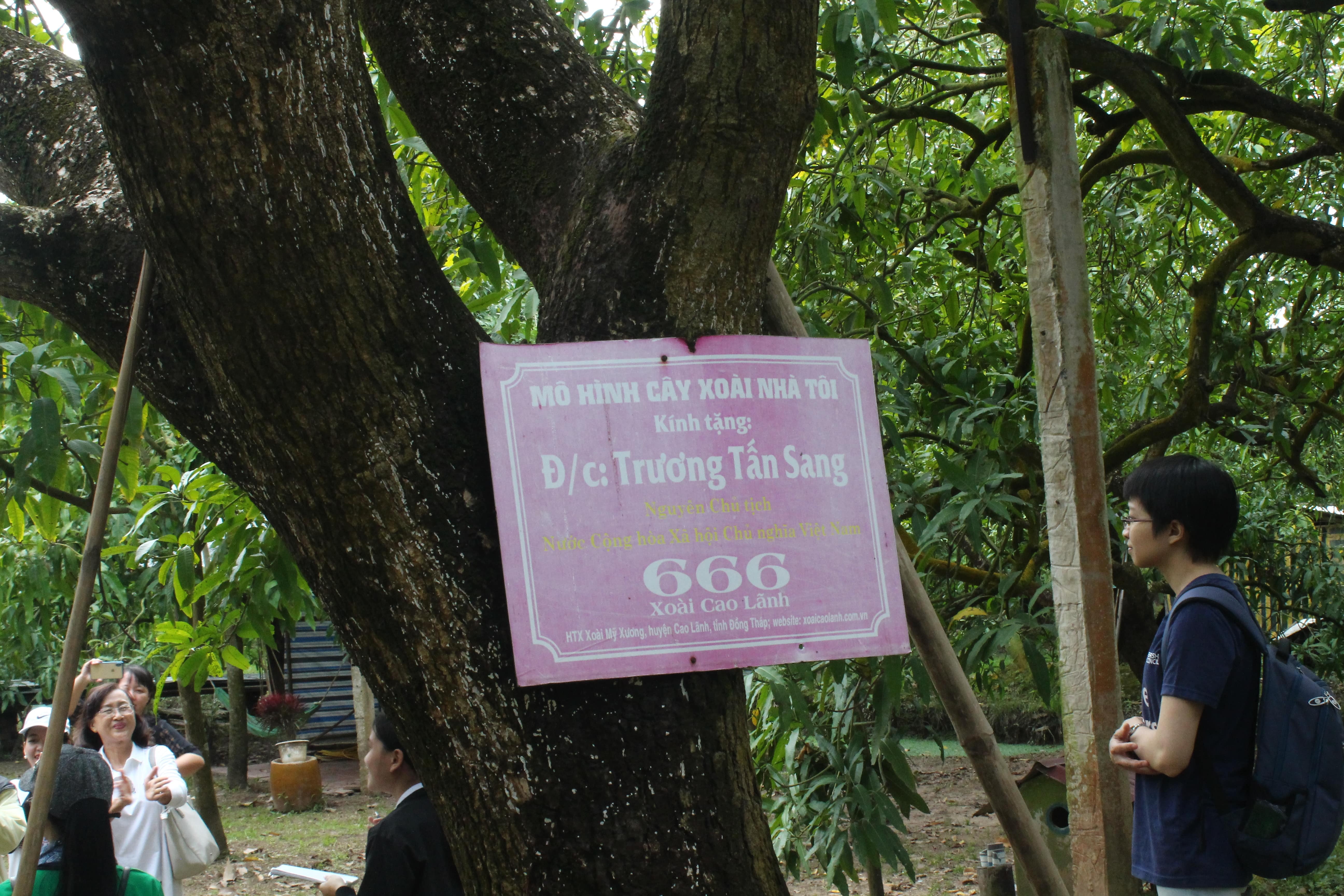 Du lich Viet Nam anh 2