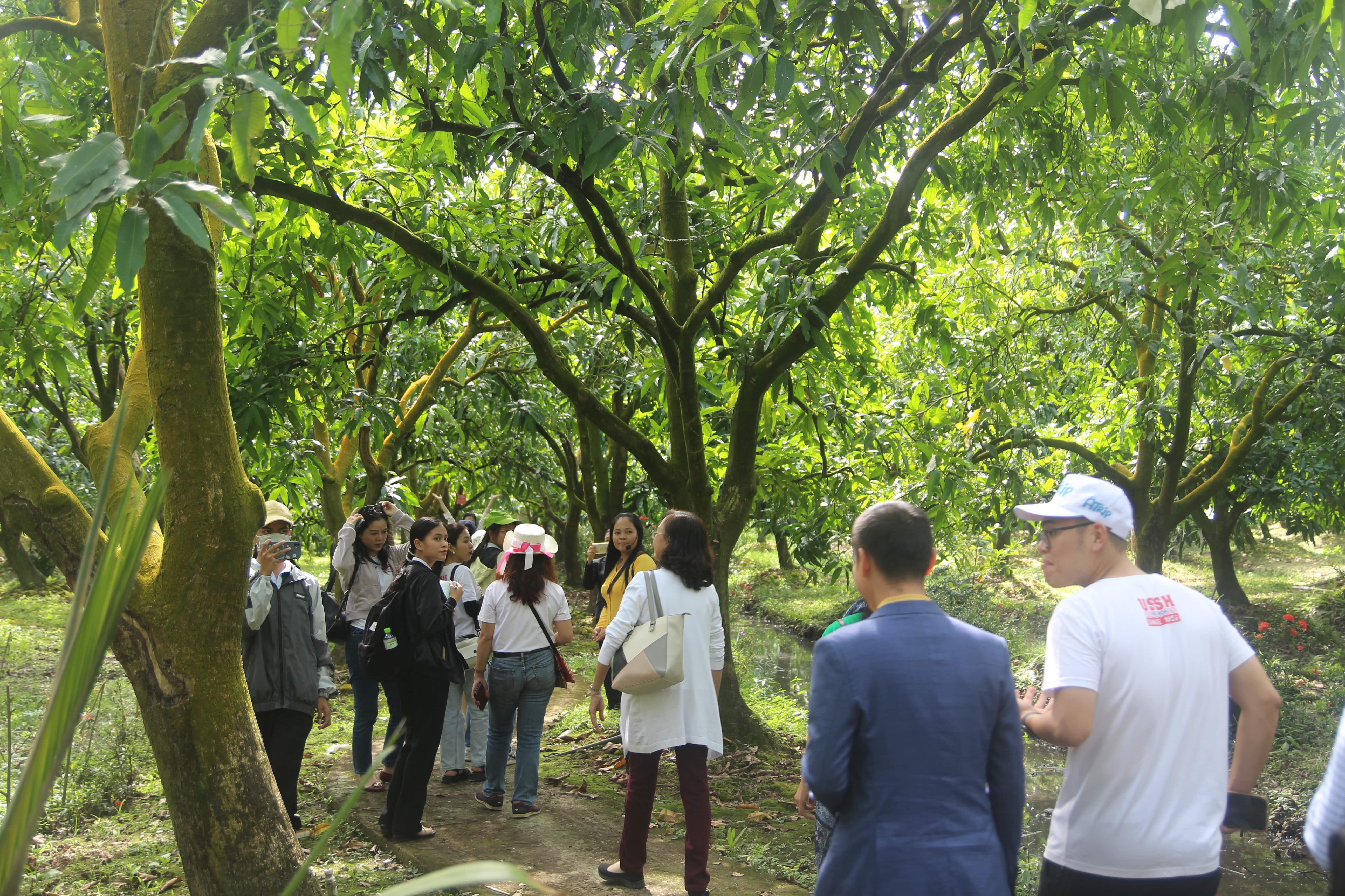 Du lich Viet Nam anh 3