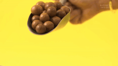 Tai sao maca duoc xem la loai hat dat nhat the gioi hinh anh