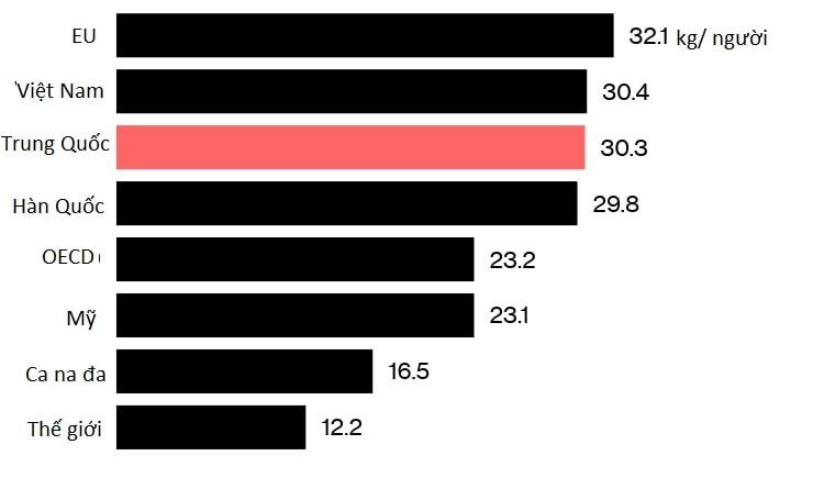 dịch tả lợn ảnh 4 dich ta lon anh 4