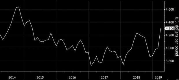 dịch tả lợn ảnh 2 dich ta lon anh 2