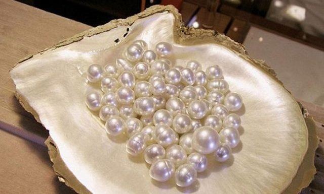 Tai sao ngoc trai luon la mon trang suc dat gia nghin nam nay? hinh anh