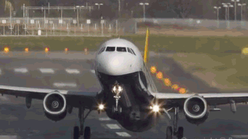 Nguoi dan ong bay hon 1.000 chuyen vi ly do dac biet nay hinh anh