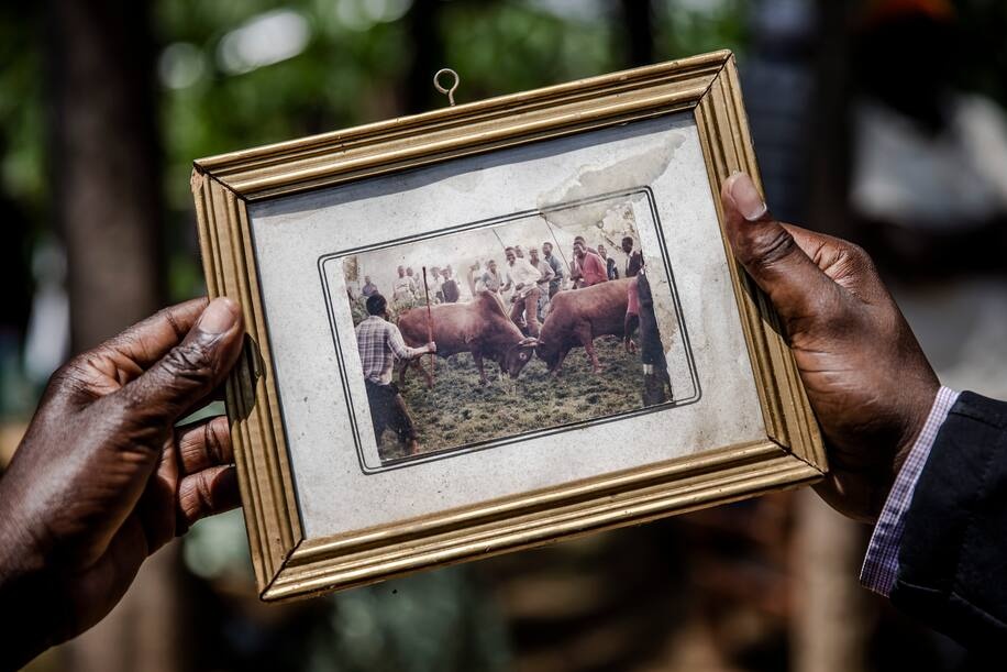 Dau bo Kenya Covid-19 anh 4