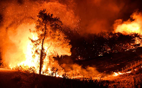 Nguoi dan ong Tho Nhi Ky tim thay dieu ky dieu sau vu chay tham khoc hinh anh