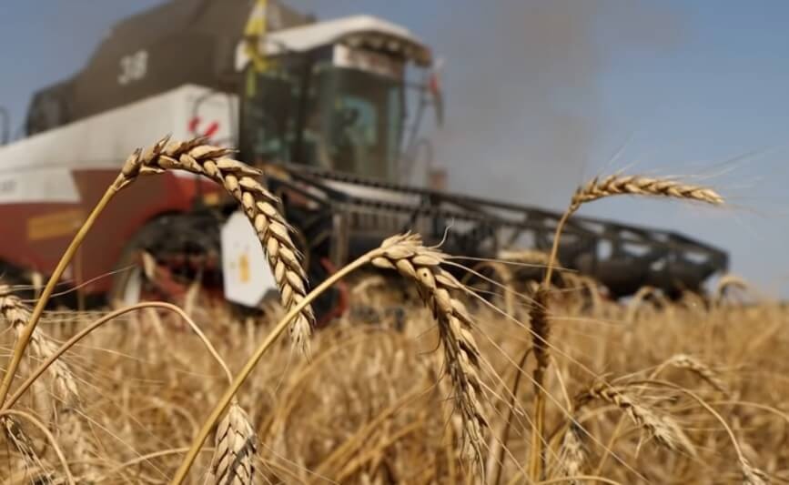 Ukraine bat dau mua gieo hat hinh anh