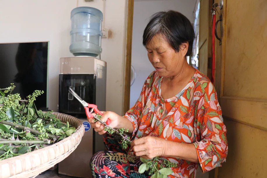 Hat tieu Tu Xuyen va buc tranh trai nguoc the gioi o Trung Quoc hinh anh