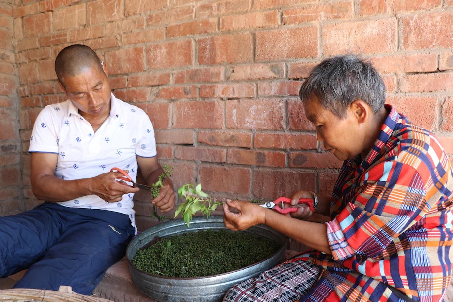 Tu Xuyen,  tieu Tu Xuyen,  kinh te Trung Quoc am dam,  gia hang hoa giam anh 4