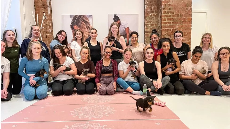 Cau lac bo 'phu nu co don' tang nong hang chuc nghin thanh vien hinh anh